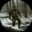 testimonial Hunter dressed in camouflage walking through a snow-covered forest with a shotgun.